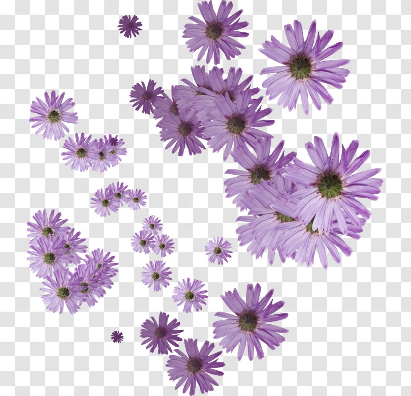 Flower Painting Blue Rose Petal Purple - Lavender Transparent PNG