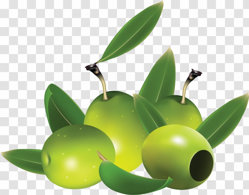 Olive Euclidean Vector Clip Art - Produce - Green Olives Transparent PNG