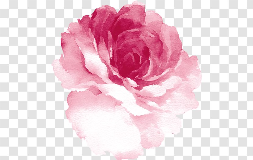 Watercolor Painting Watercolor: Flowers Rose Watercolour - Floral Design Transparent PNG