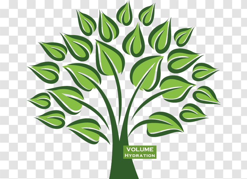 Organization Marketing Dentistry Tax Genealogy - Flora - Side Tree Transparent PNG
