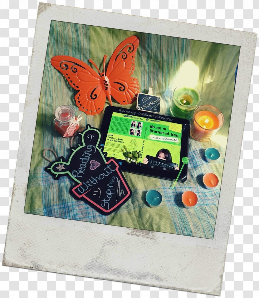 Picture Frames - Butterfly Transparent PNG