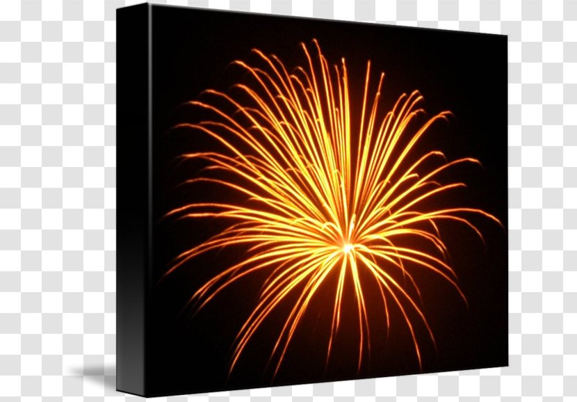 Fireworks - Event Transparent PNG