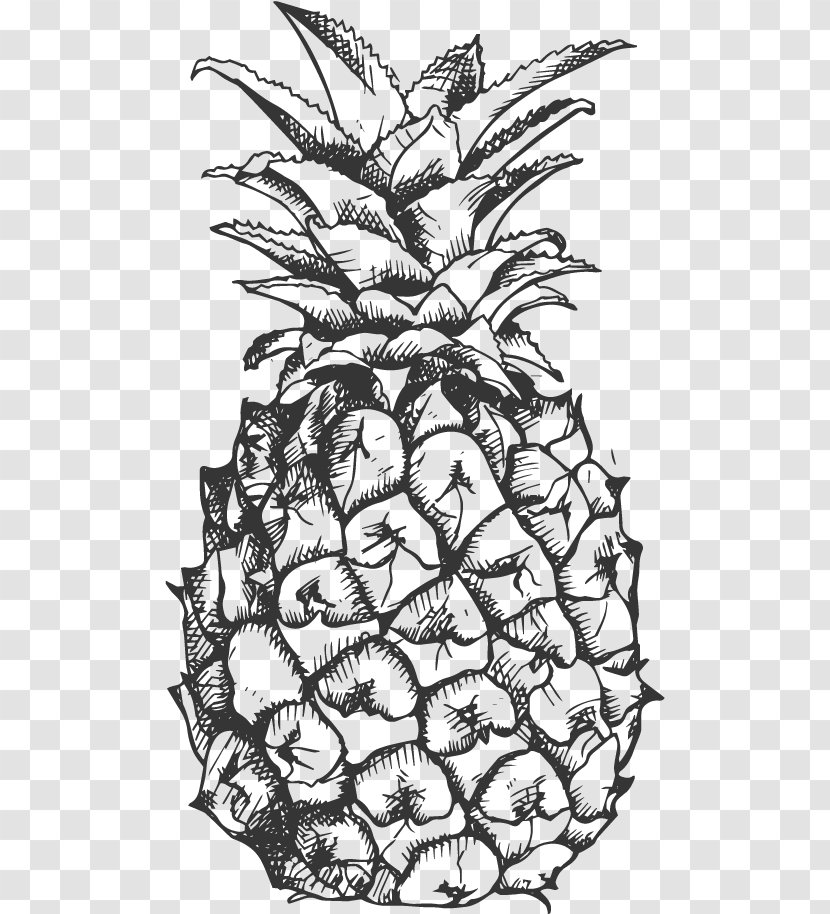 Pineapple Fruit Drawing Black And White Clip Art - Tropical - 3d Fruits Sketch Transparent PNG