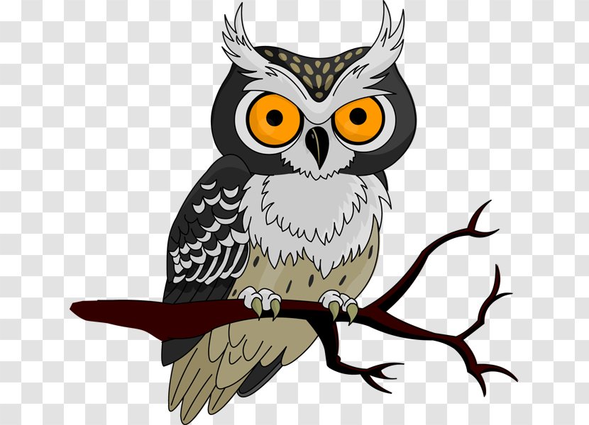 Owls To Athens Halloween Jack-o'-lantern Clip Art - Wing - Owl Transparent PNG