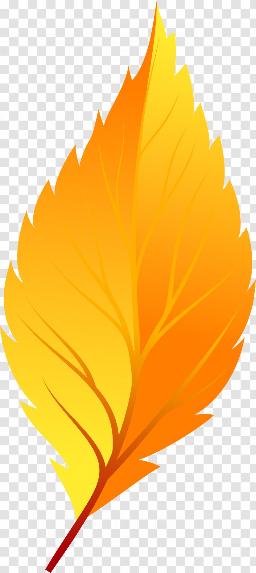 Clip Art Transparency Illustration Autumn Leaf Color - Flower Transparent PNG