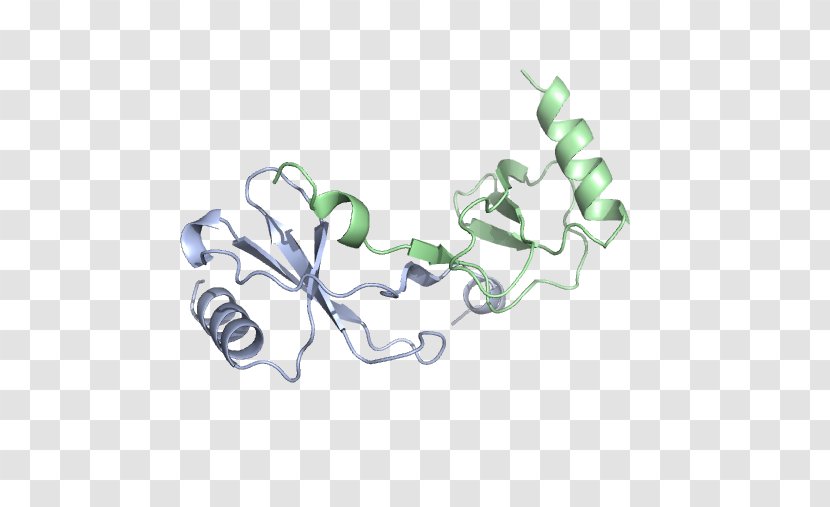 CCL2 Chemokine Lewis Structure Monocyte Chemotaxis - Gene - Cellule Immunitaire Transparent PNG