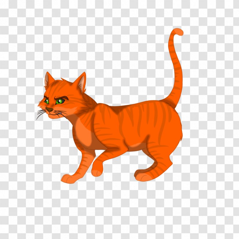 Whiskers Kitten Red Fox Cat Transparent PNG