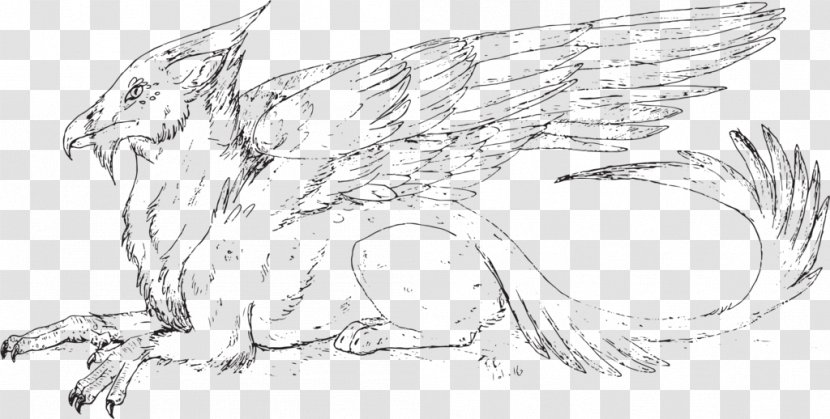 Sketch Carnivores Fauna Line Art Cartoon - Simple Wings Coloring Pages Transparent PNG