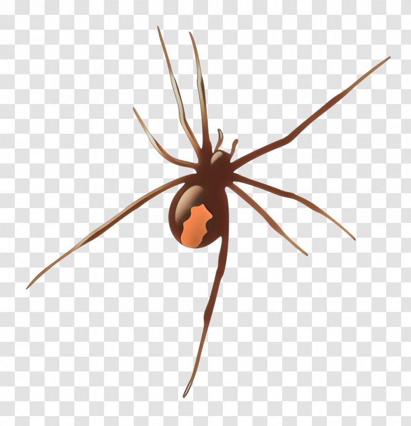 Spider Arachnid Widow Tangle-web Orb-weaver - Tangleweb - Pest Harvestman Transparent PNG