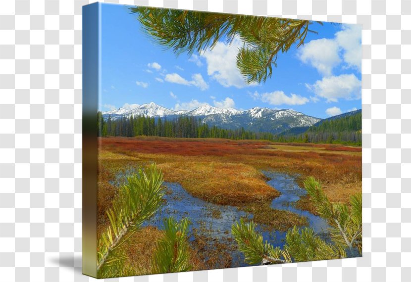 Salt Marsh Painting Ecoregion Landscape - Family - Underwear Scenic View Transparent PNG