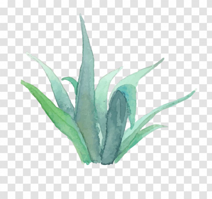 Crystal Chanel Photography Real Estate Agent Photographer House - Agave - Watercolor Succulent Transparent PNG