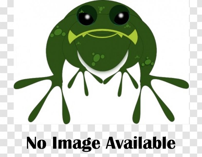 True Frog Tree Amphibians Clip Art - Litoria Chloris Transparent PNG