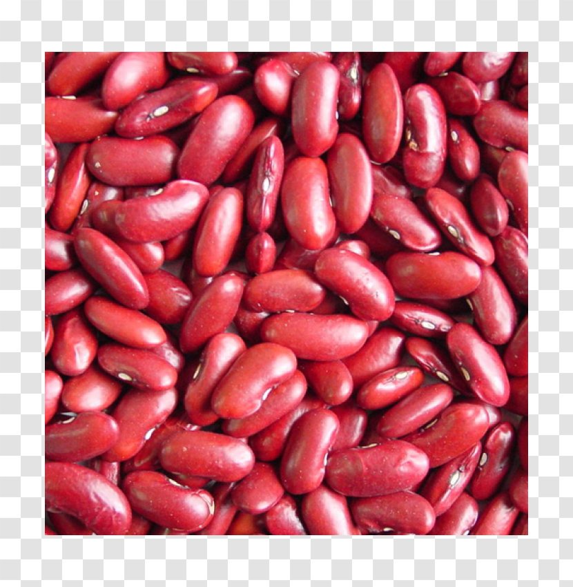 Rajma Dal Red Beans And Rice Kidney Bean - Protein Transparent PNG