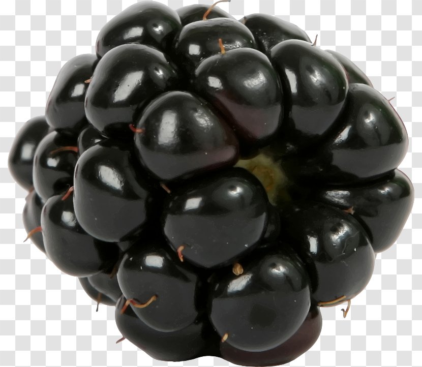 blackberry fruit salad raspberry java plum transparent png pnghut