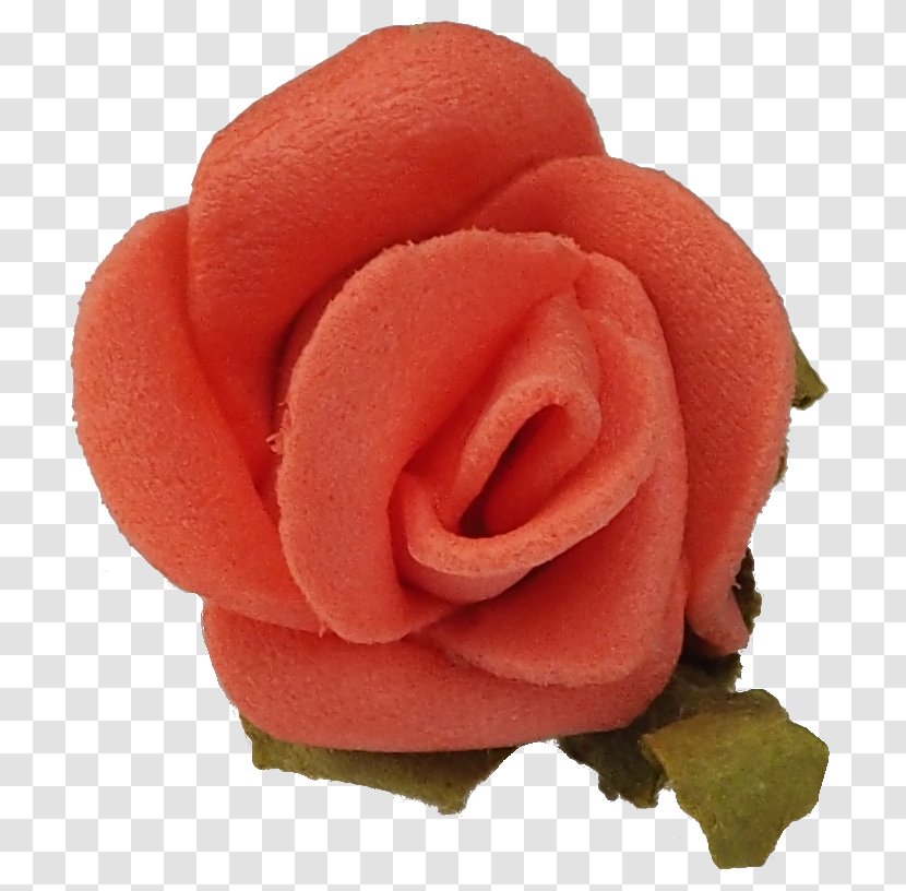 Garden Roses Hair Tie Headband Hairpin - Rose Transparent PNG