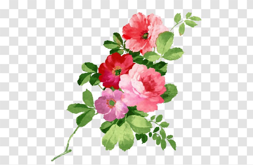Watercolor Painting Flower - Art - Roses Transparent PNG