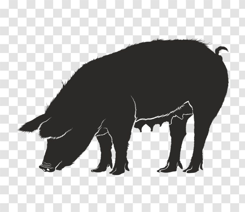 Domestic Pig Guinea Silhouette Clip Art - Fauna Transparent PNG