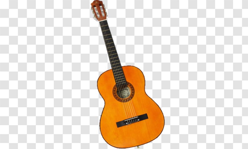 Acoustic Guitar Tiple Cuatro Cavaquinho - Tree - Guitarra Electrica Transparent PNG