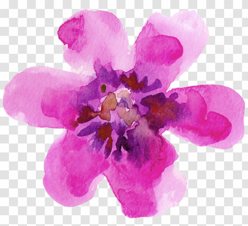 Watercolour Flowers Paper Watercolor Painting - Lilac - Flower Purple Transparent PNG