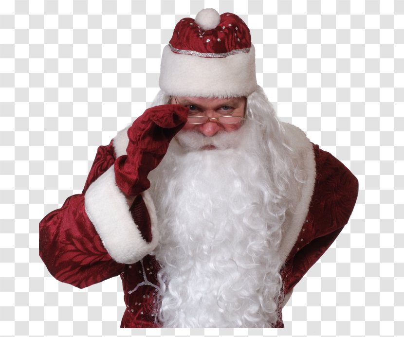 Ded Moroz Santa Claus Veliky Ustyug Grandfather Christmas Ornament Transparent PNG