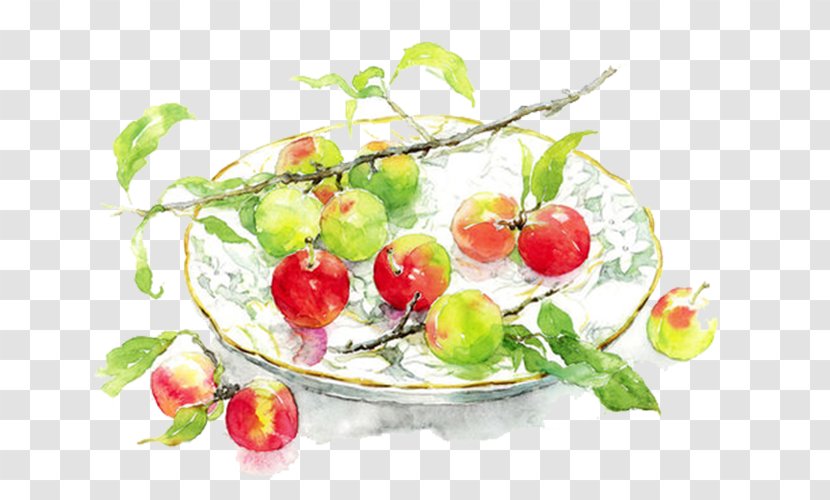 Watercolor Painting Winsor & Newton Oil Paint - Auglis - Red Apples Transparent PNG