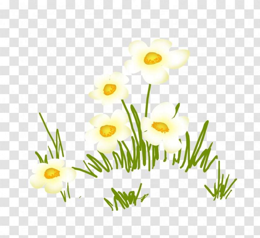 Common Daisy Flower Floral Design Clip Art Transparent PNG