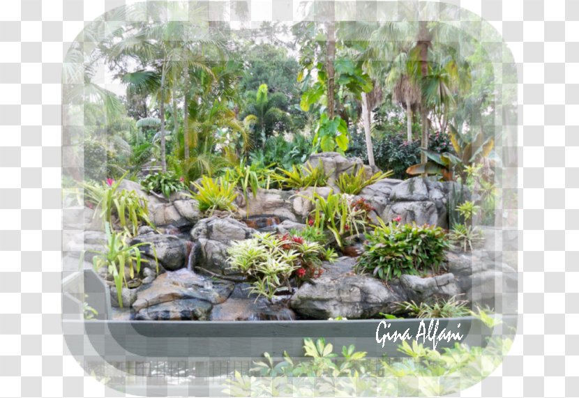 Gardening Houseplant Greenhouse Epiphyte - Landscaping - Garden Transparent PNG