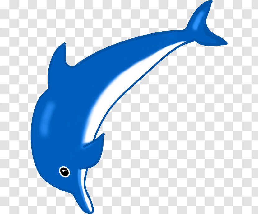 Common Bottlenose Dolphin Tucuxi Porpoise Iruka Umino - Whales Dolphins And Porpoises Transparent PNG