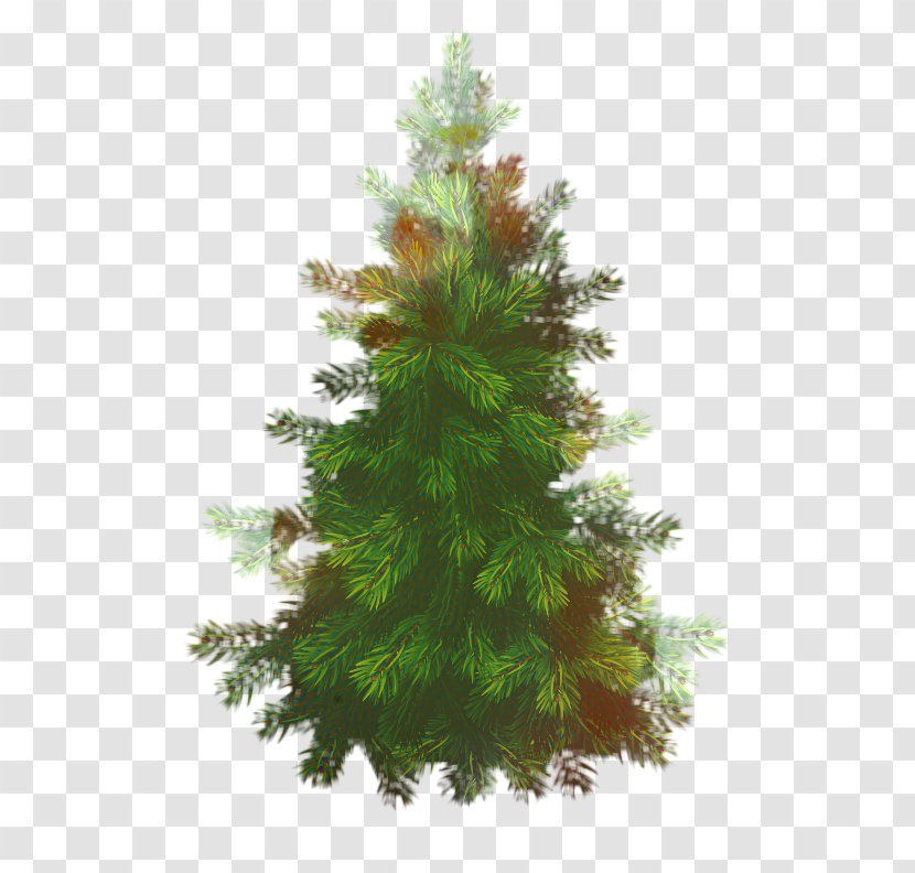 Christmas Black And White - American Larch - Sitka Spruce River Juniper Transparent PNG