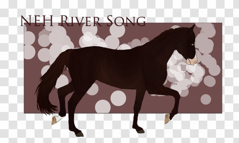 Mustang Foal Stallion Mare Colt - Bridle - River Song Transparent PNG