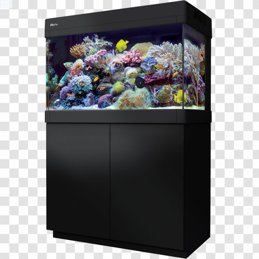 Red Sea Reef Aquarium Aquariums Coral - Fish Tank Transparent PNG