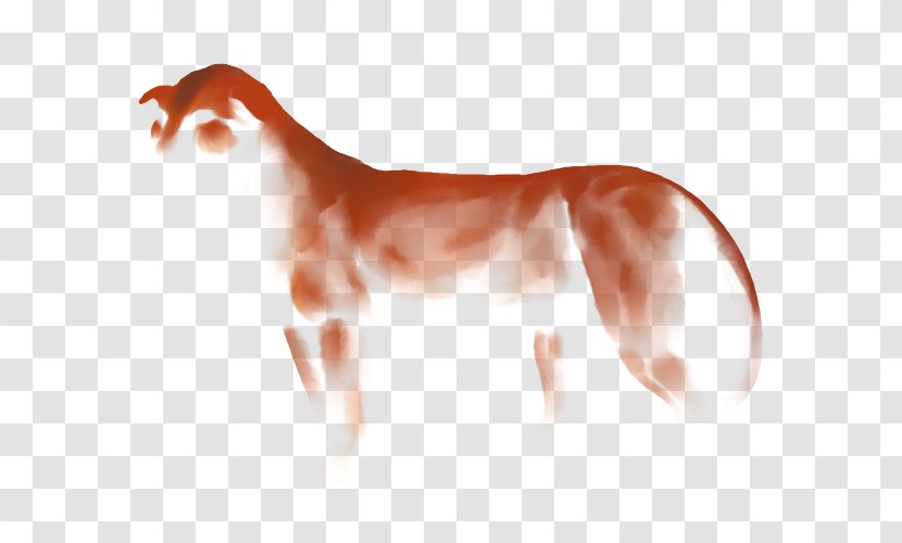 Dog Mustang Neck Mane Snout Transparent PNG