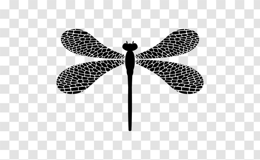 Dragonfly Insect Drawing Art - Black And White Transparent PNG