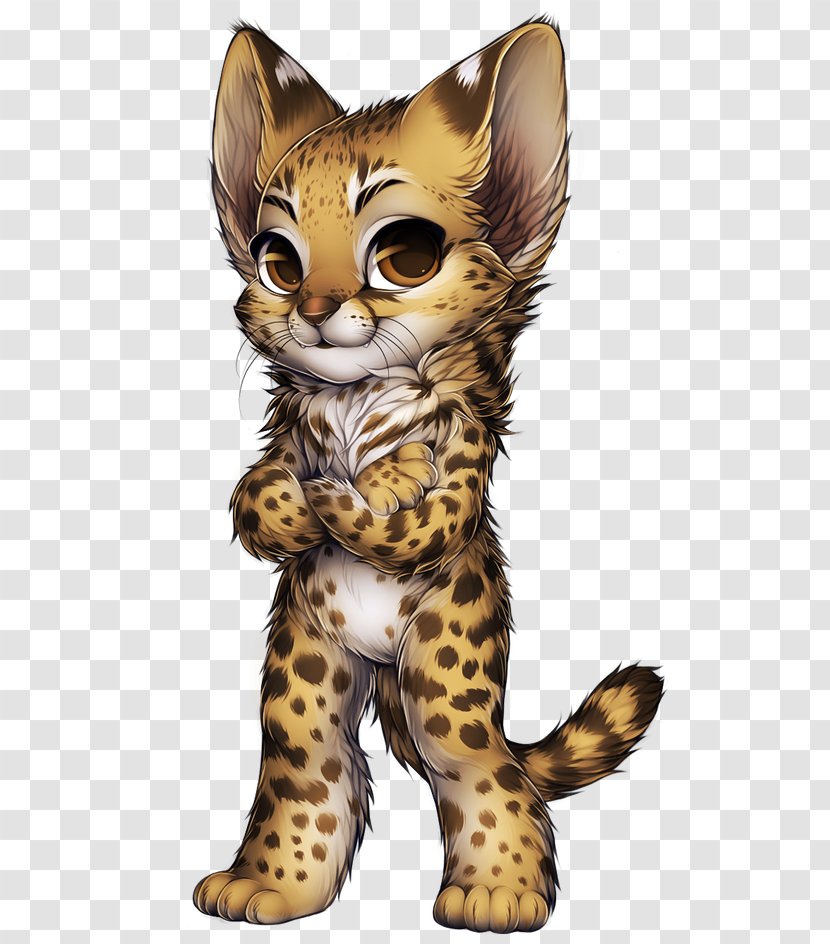 Cheetah Whiskers Wildcat Leopard - Ocelot Transparent PNG