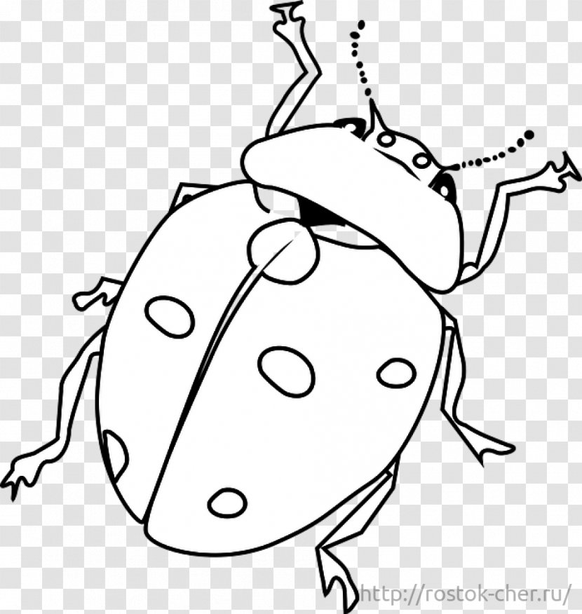 Coloring Book Beetle Drawing - Silhouette Transparent PNG