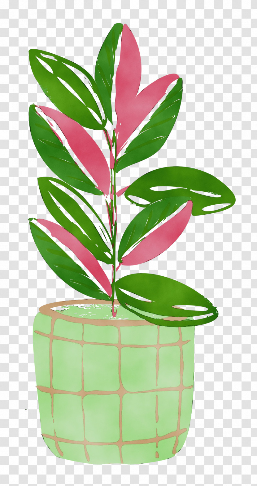 Leaf Plant Stem Houseplant Flowerpot Tree Transparent PNG
