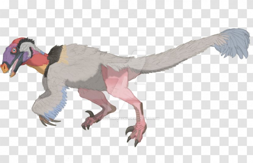 Velociraptor Deinonychus Tyrannosaurus Bird Feather - Feathered Dinosaur Transparent PNG