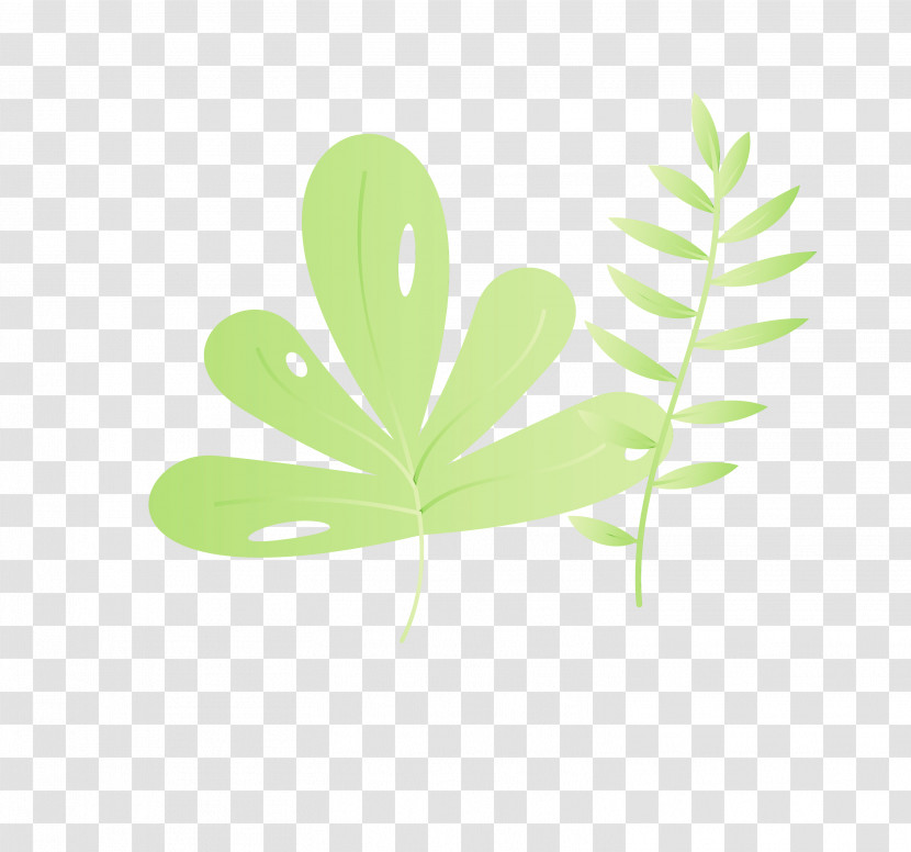 Leaf Plant Stem Green Font Meter Transparent PNG
