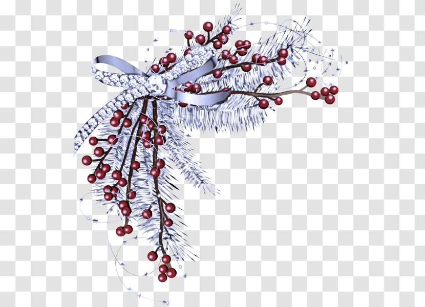 Holly - Hawthorn - Ornament Berry Transparent PNG