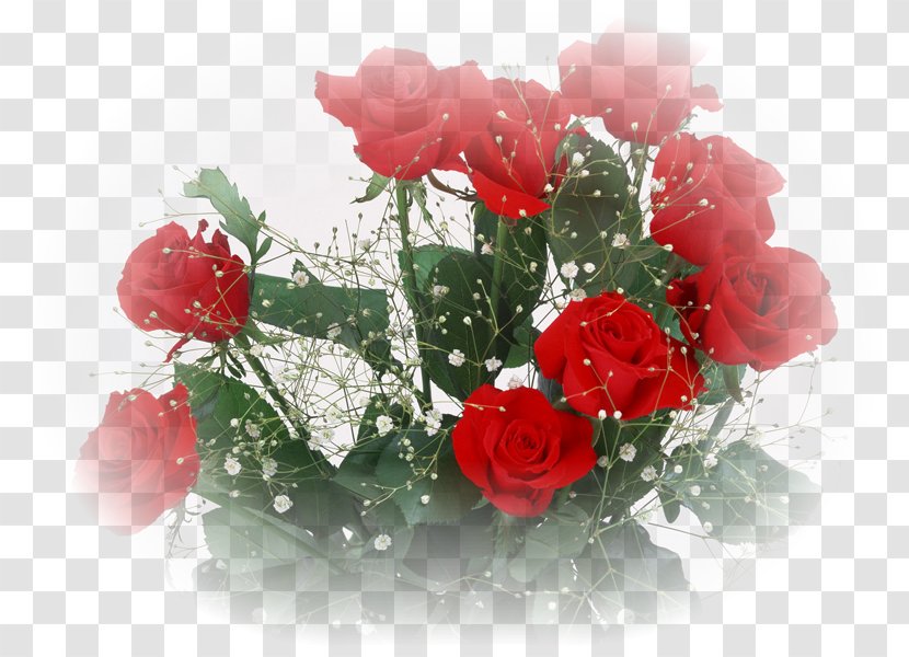 Cut Flowers Beach Rose Gift Petal - Rosa Centifolia - Artificial Flower Transparent PNG