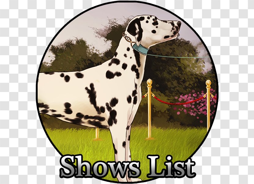 Dalmatian Dog Breed Non-sporting Group Kennel Club - Carnivoran Transparent PNG