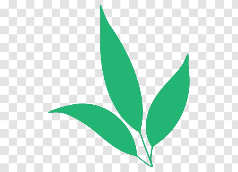 Leaf Clip Art Plant Stem Transparent PNG