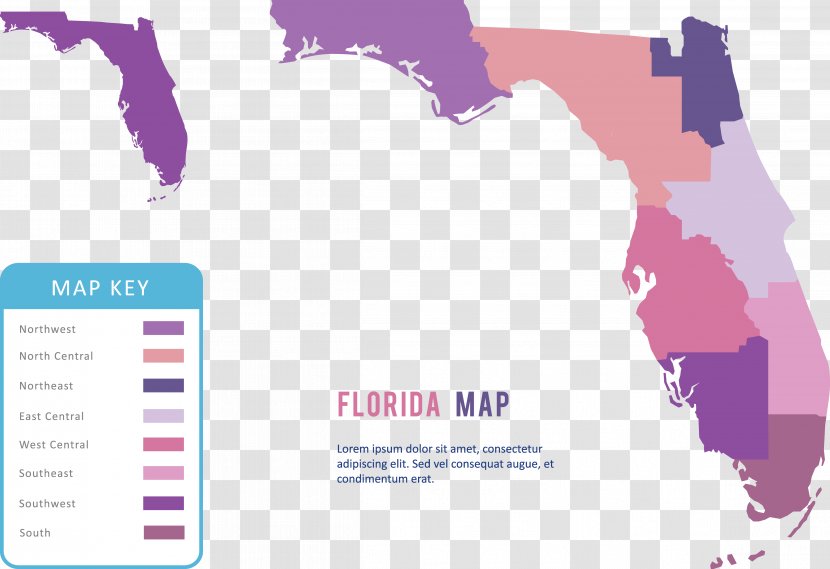 Ginnie Springs Floridan Aquifer Cave Karst Map - Purple Chart Transparent PNG
