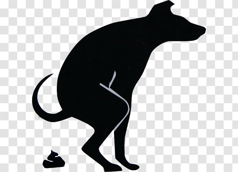 Puppy Labrador Retriever Companion Dog Canidae Clip Art - Mammal Transparent PNG