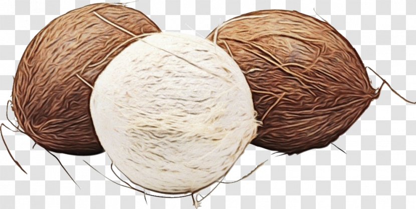 Coconut Cartoon - Thread Transparent PNG