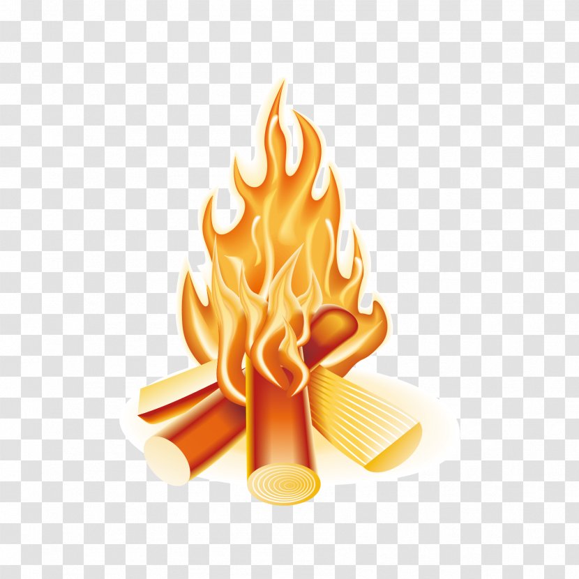 Combustion Campfire Camping - Food - Vector Flame Transparent PNG