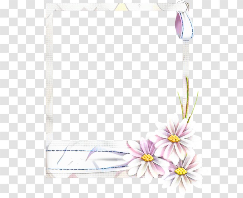 Background Flower Frame - Rectangle - Plant Wildflower Transparent PNG