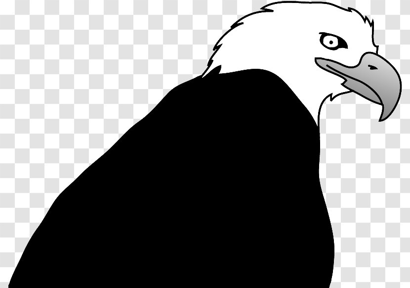 Bald Eagle Bird Drawing Clip Art Transparent PNG