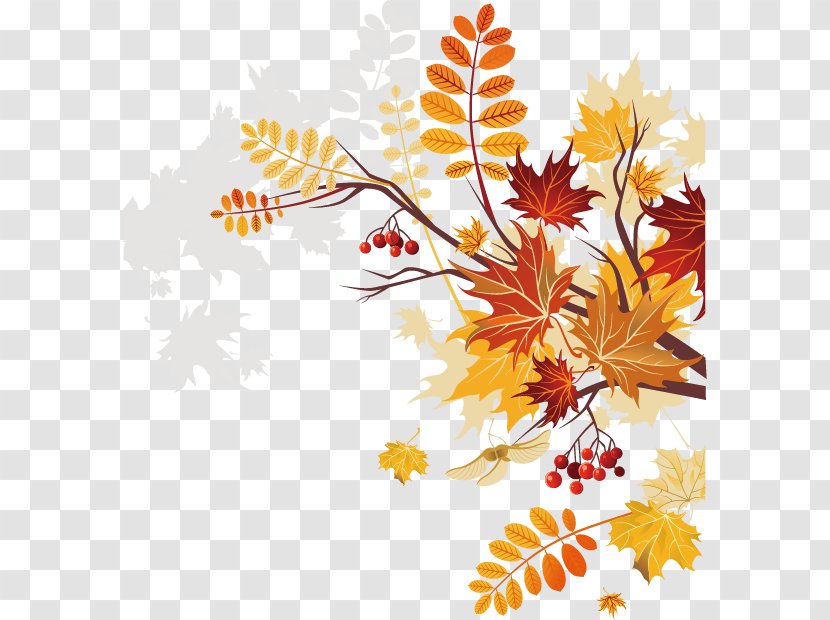 Autumn Royalty-free Clip Art - Plant - Creative Vector Material Transparent PNG