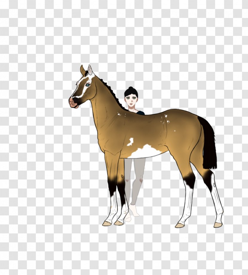 Mustang Mare Stallion Foal Halter - Saddle Transparent PNG